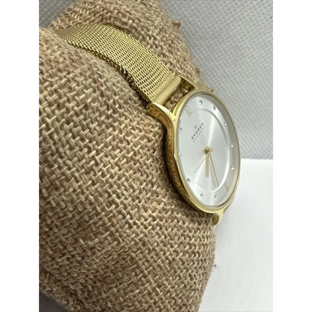 Skagen Anita Lille SKW2150 Women's Gold-Tone Stainless Steel Analog Watch JNA899